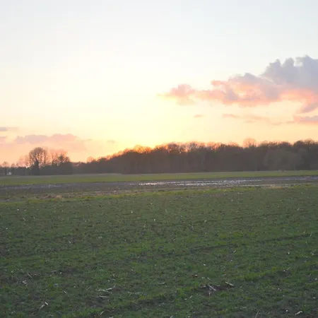 Holiday home Forest Retreat Near Kempen-broek, Cleaning Included *