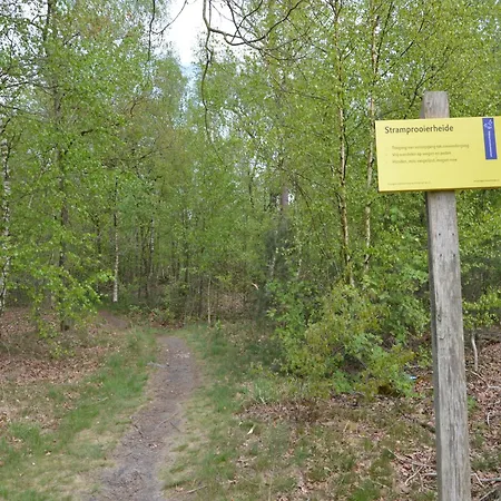 Holiday home Forest Retreat Near Kempen-broek, Cleaning Included