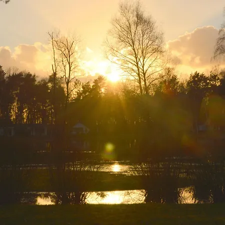 Forest Retreat Near Kempen-broek, Cleaning Included Holiday home Stramproy
