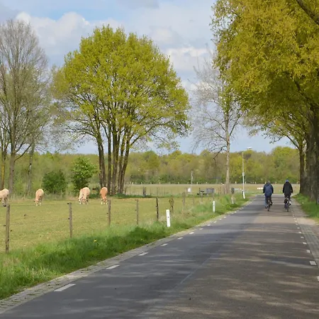 Forest Retreat Near Kempen-broek, Cleaning Included Stramproy
