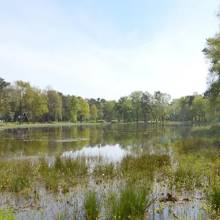 Holiday home Forest Retreat Near Kempen-broek, Cleaning Included *